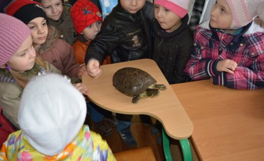Рисунок3 Рисунок3